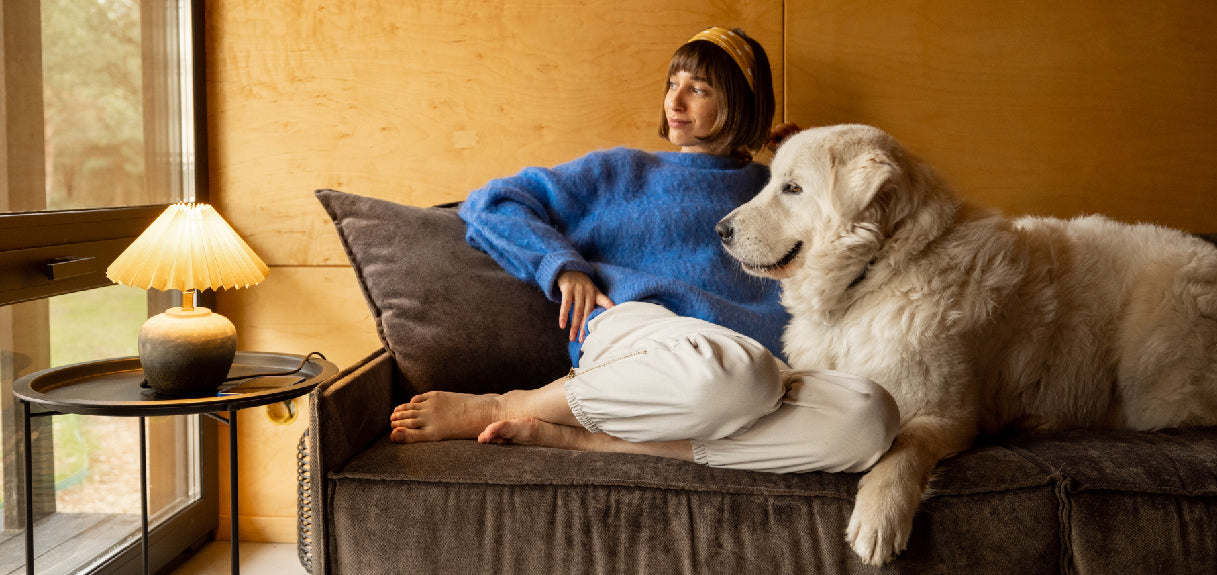 Everyday Habits That Help Your Pet Feel More Like Themselves