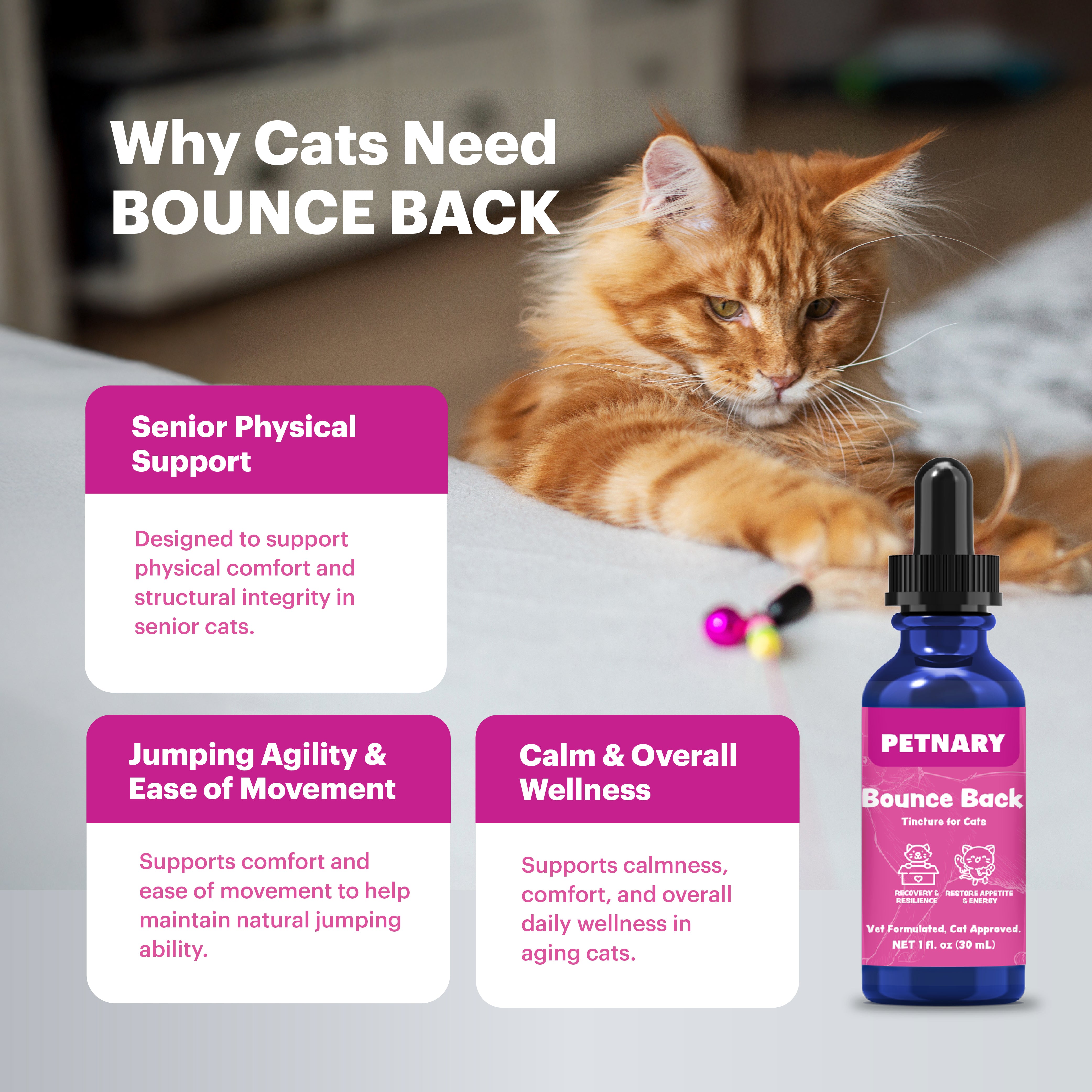 Petnary Bounce Back | Senior Hip & Joint Elixir for Cats