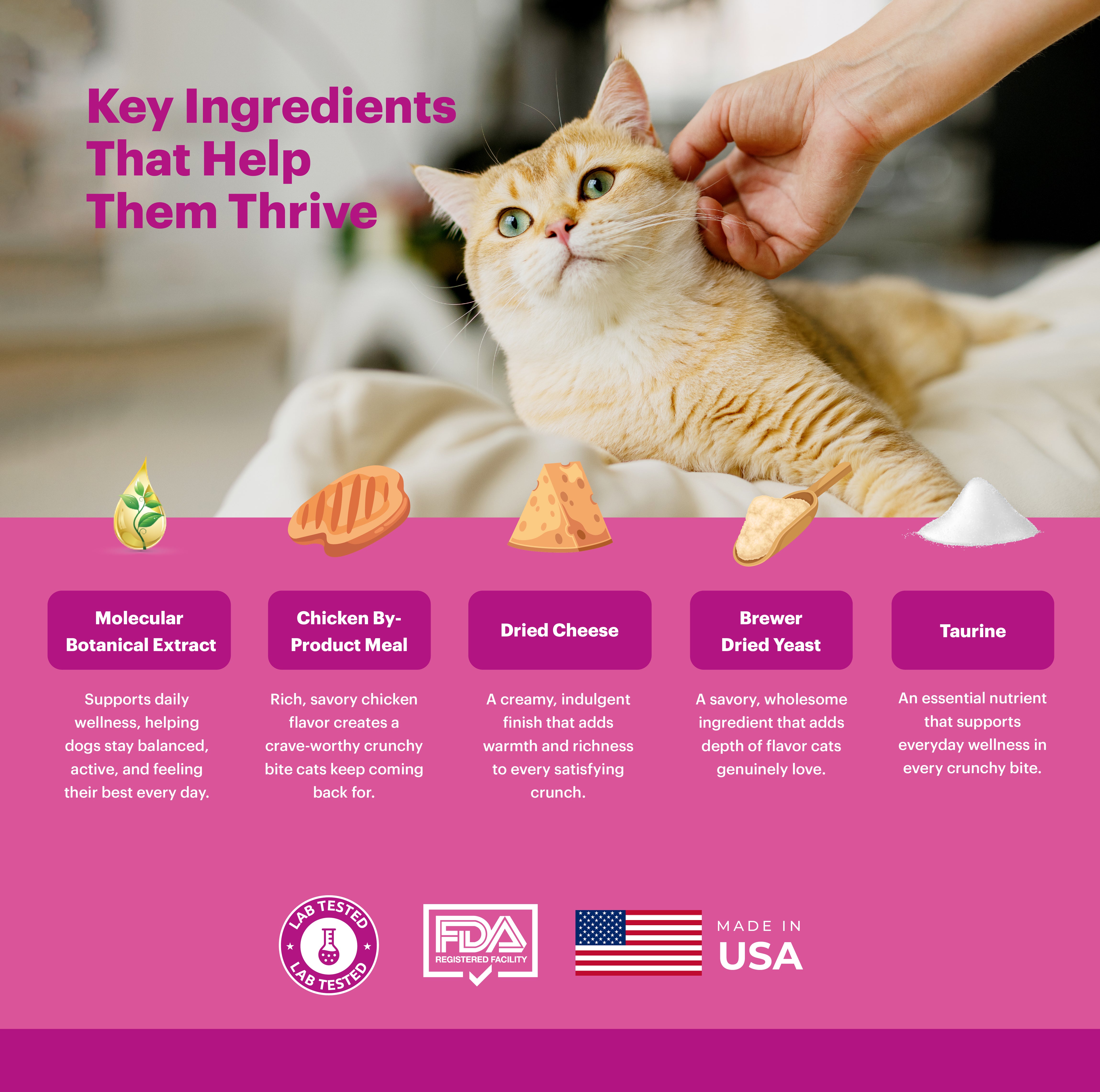 Petnary Calming Bites | Chicken Flavor (Wholesale)