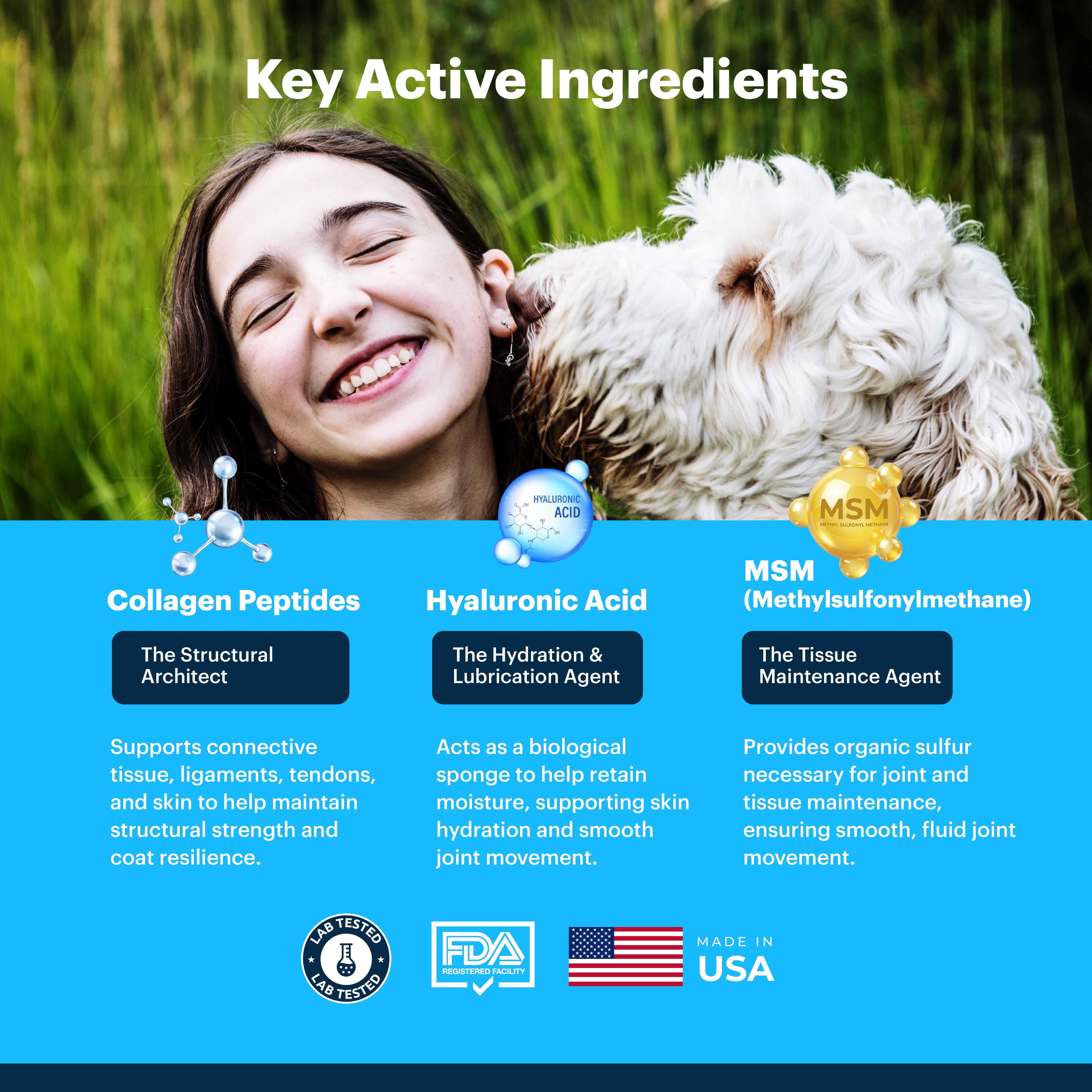 Petnary Glow & Go | Collagen & Joint Mobility Drops for Dogs