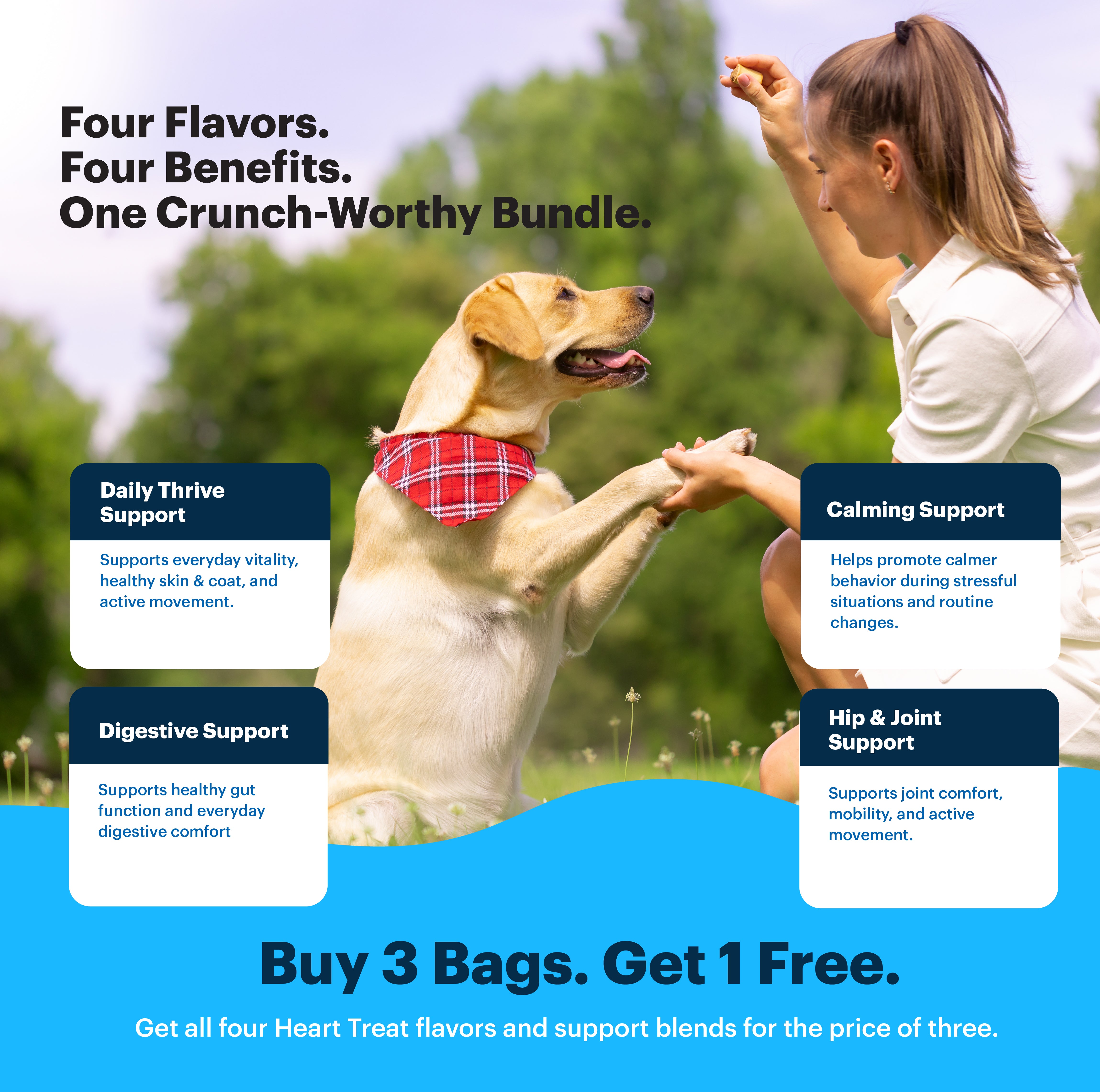 Daily Thrive, Calm, Digestion & Hip + Joint | Bundle for Dogs (Buy 3, Get 1 Free)