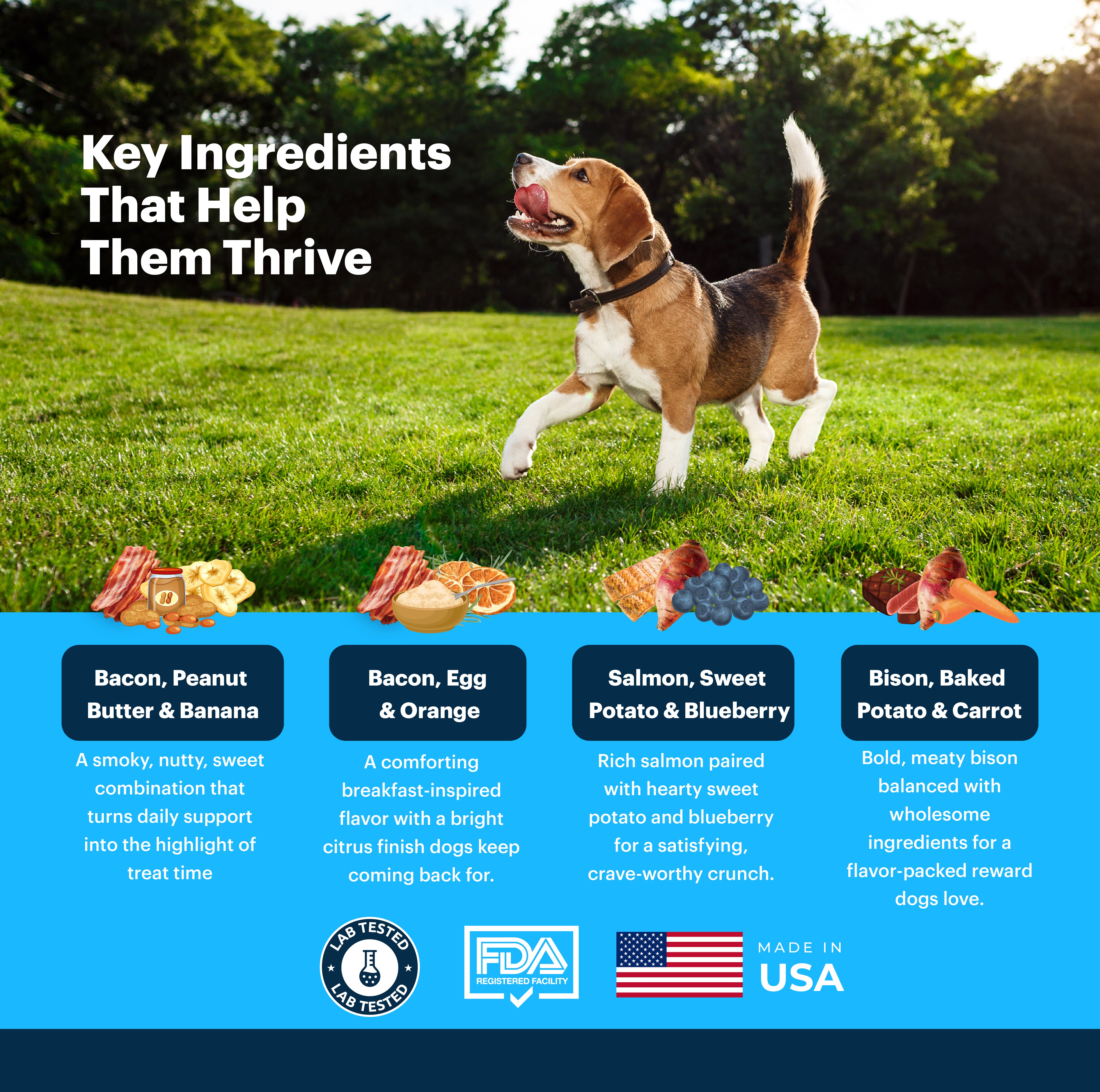 Daily Thrive, Calm, Digestion & Hip + Joint | Bundle for Dogs (Buy 3, Get 1 Free)