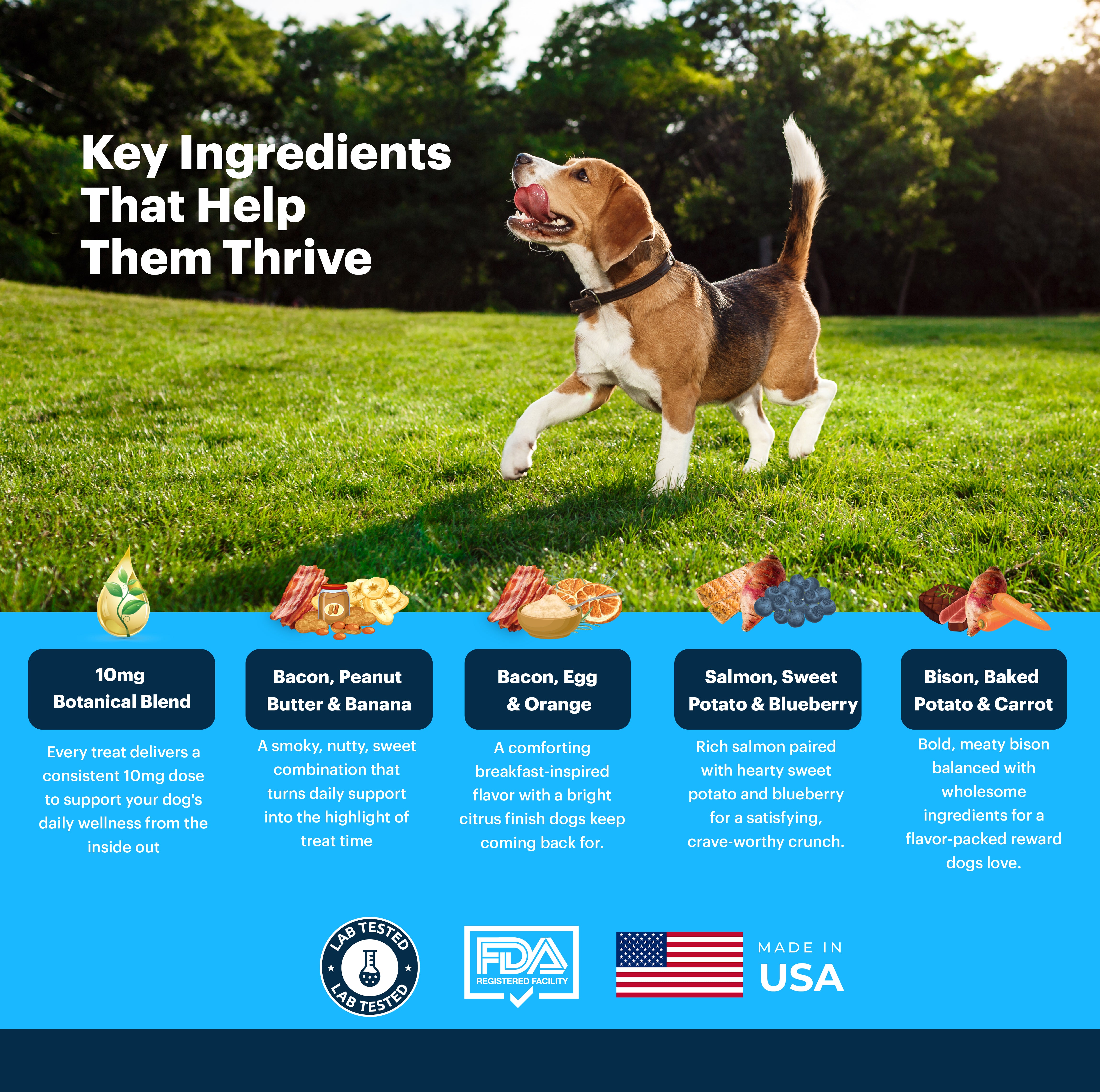 Daily Thrive, Calm, Digestion & Hip + Joint | Bundle for Dogs (Buy 3, Get 1 Free)