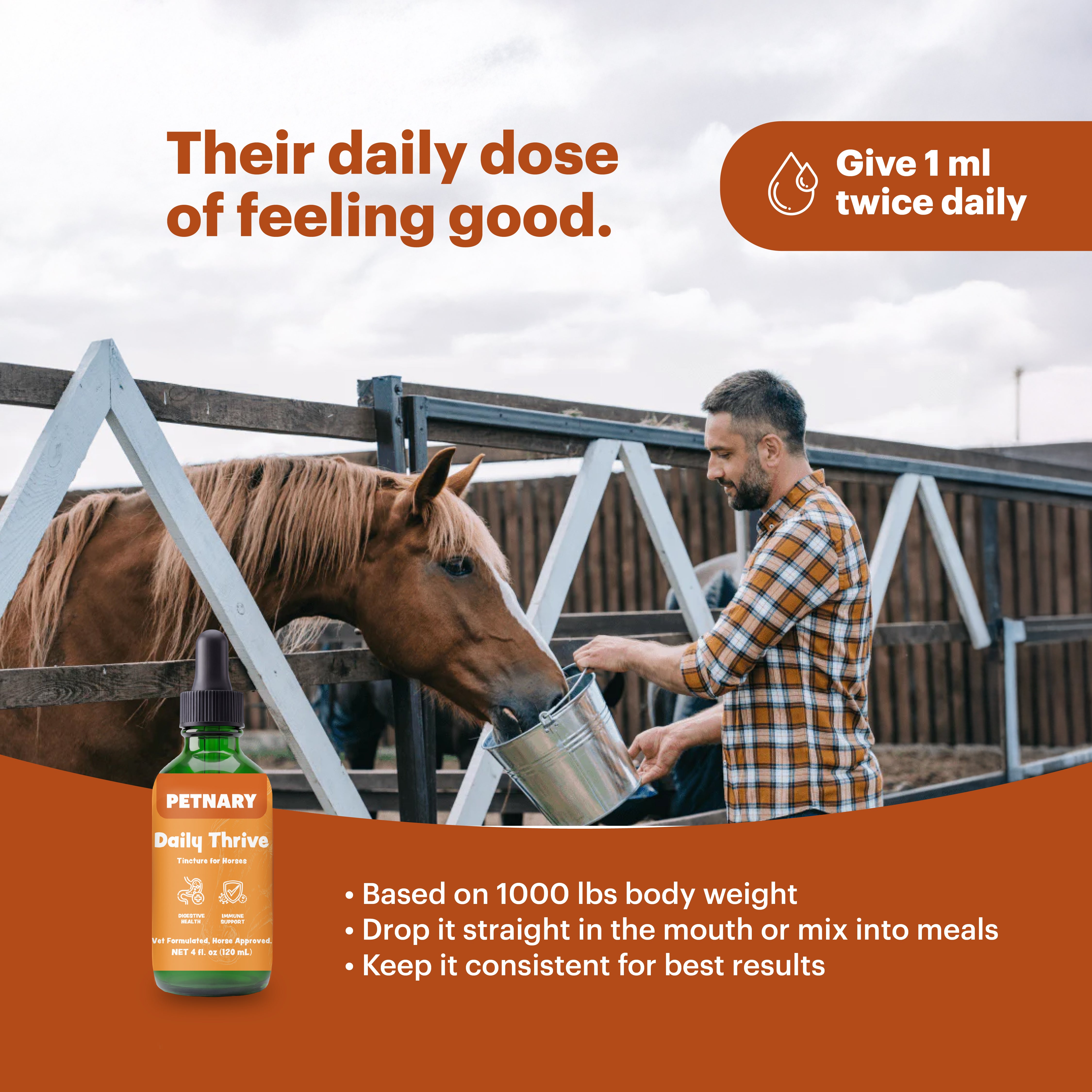 Petnary Daily Thrive | 4-in-1 Multivitamin & Omega Boost for Horses