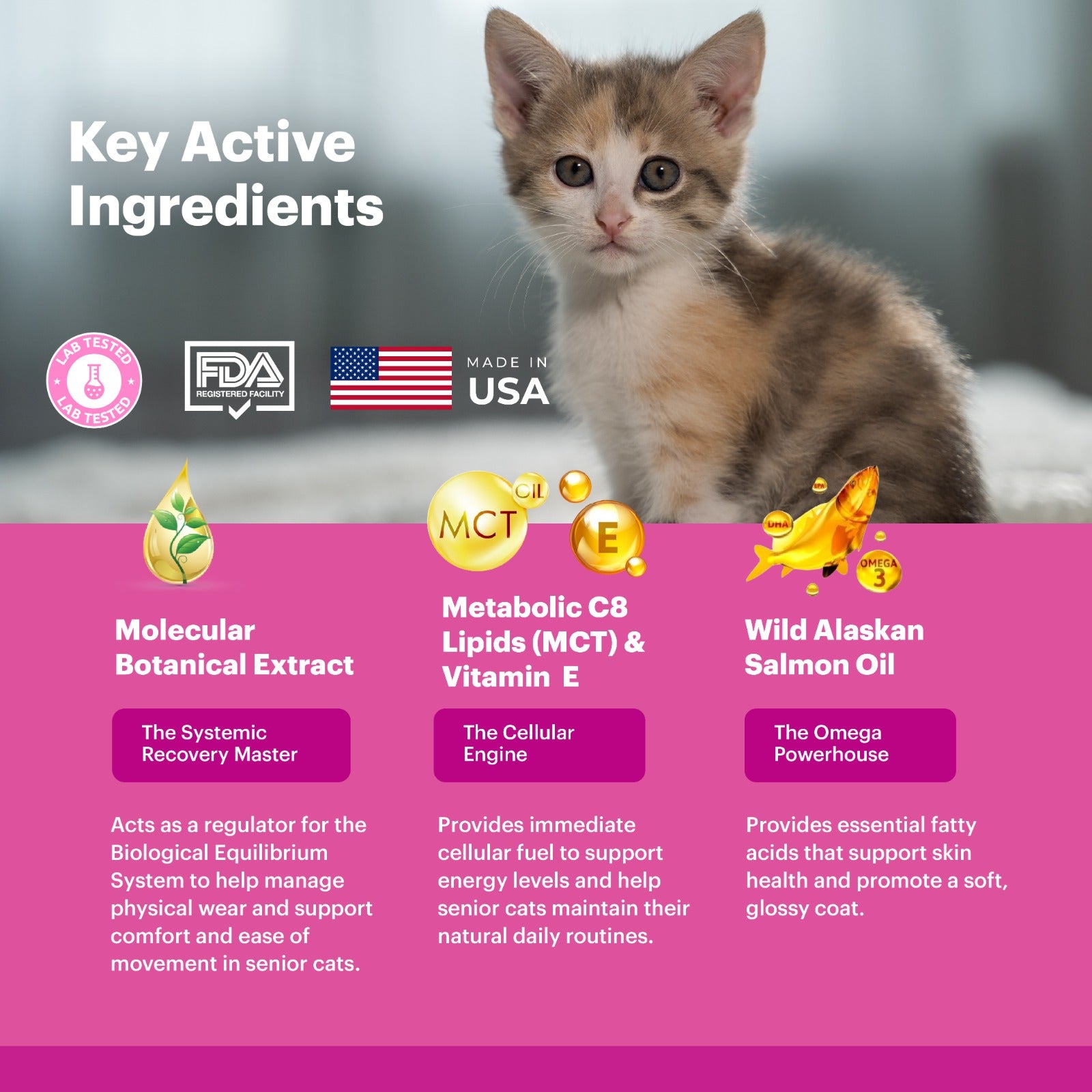 Petnary Thrive | 4-in-1 Daily Vitality Drops – Wild Alaskan Salmon Oil & Metabolic C8 Complex