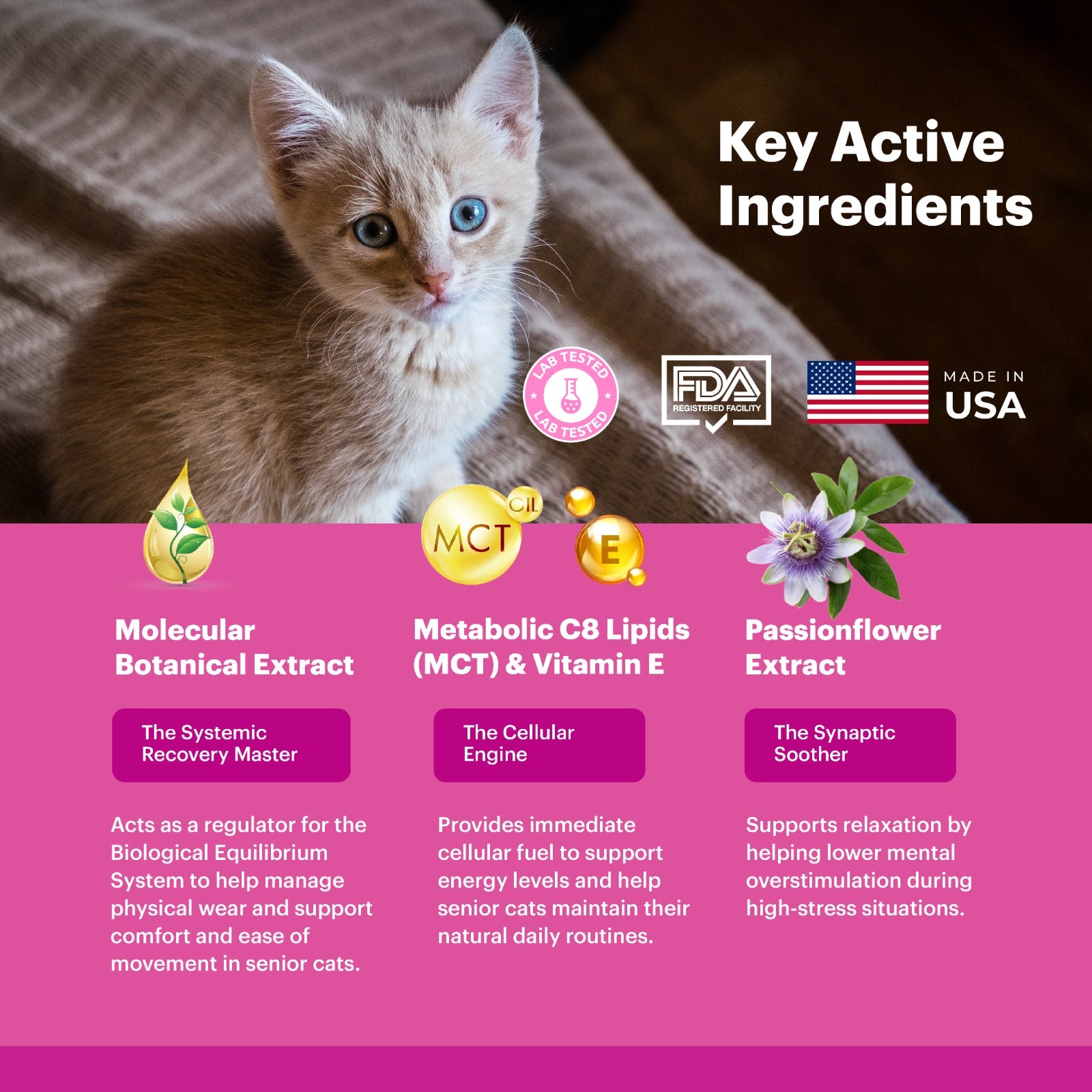 Petnary Relax | Targeted Calming Drops – Passionflower & Environmental Harmony