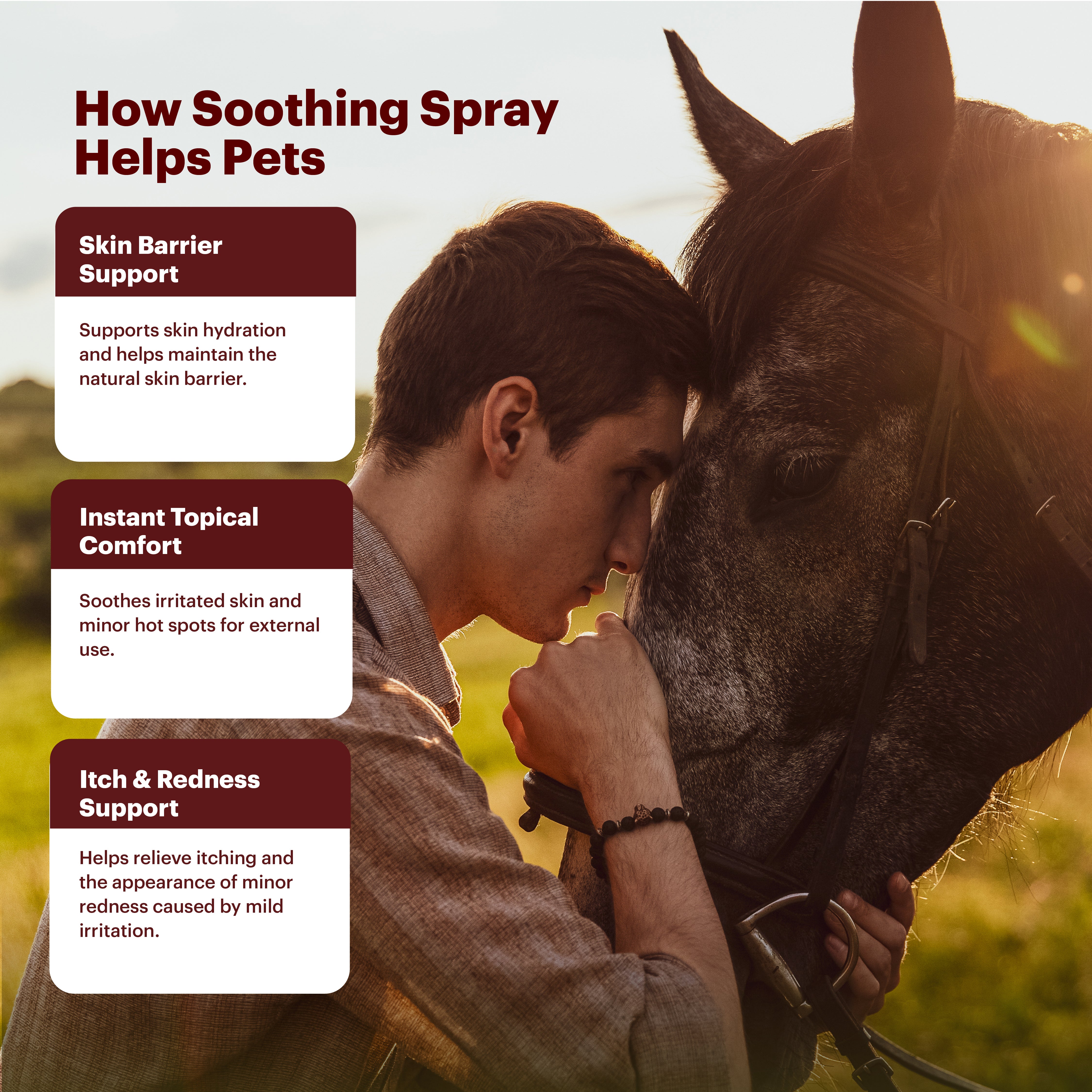Petnary Targeted Soothing Spray ‒ Advanced Botanical Support for Sensitive Skin & Topical Comfort