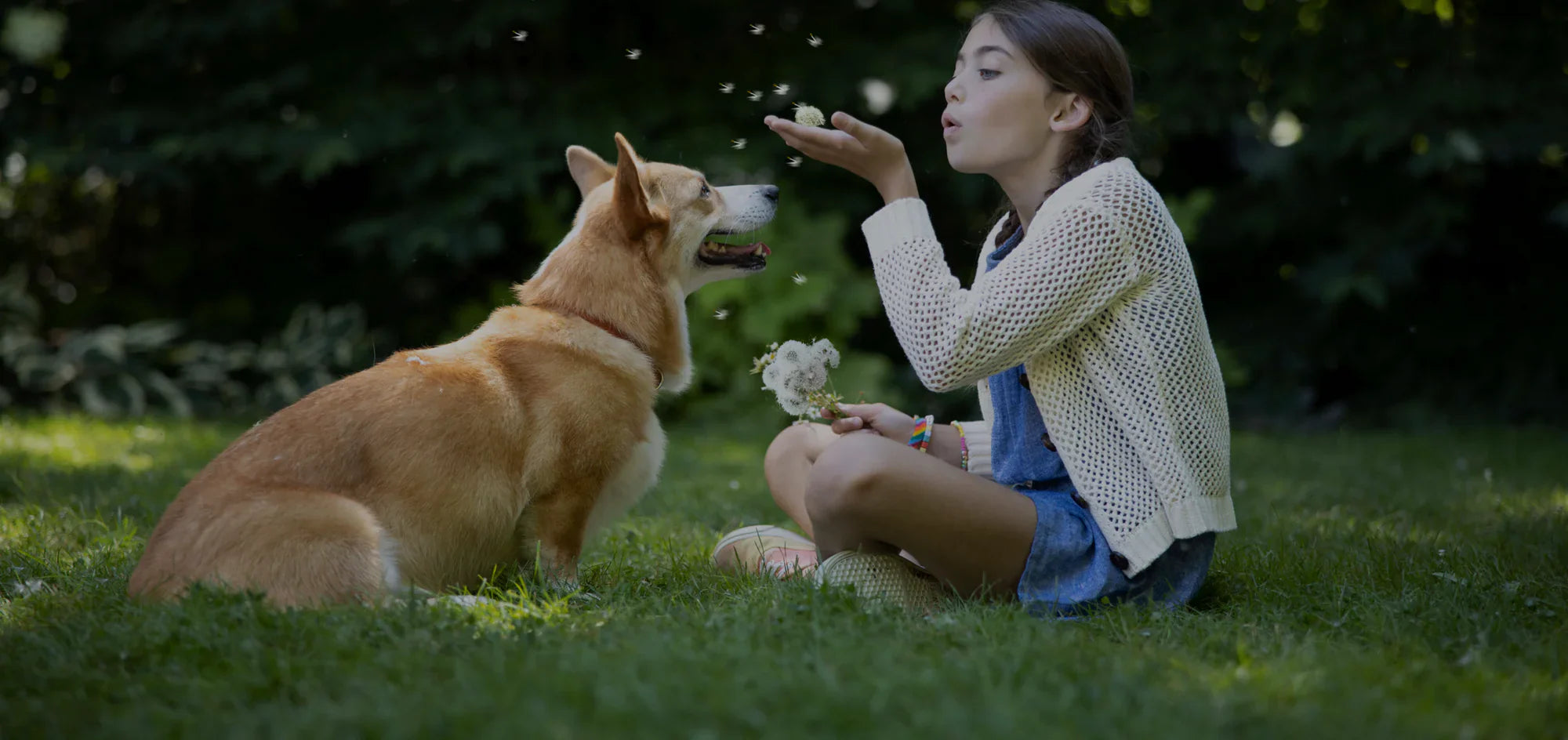 A Little Guide to Keeping Your Pup Feeling Their Best