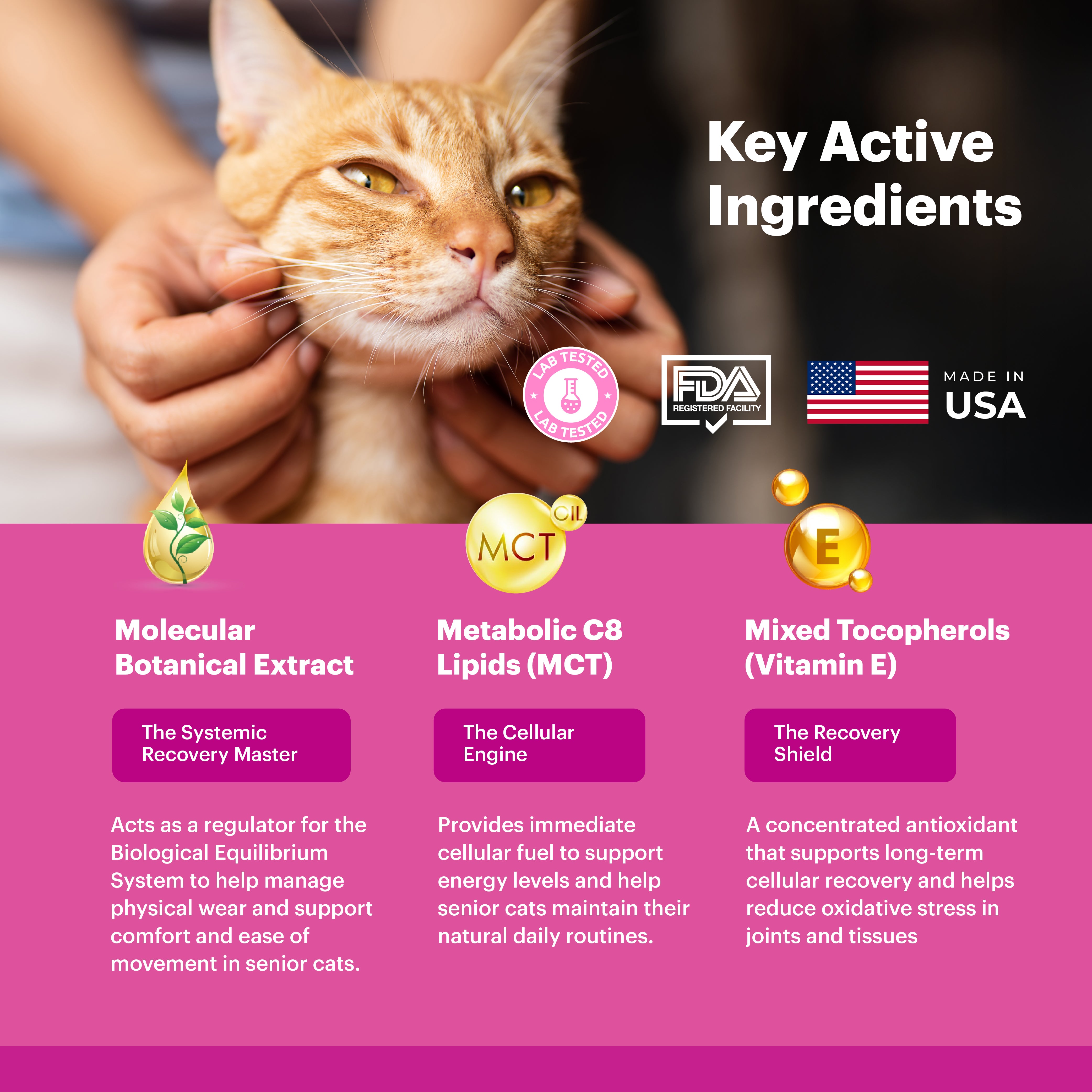 Petnary Bounce Back | Senior Hip & Joint Elixir for Cats