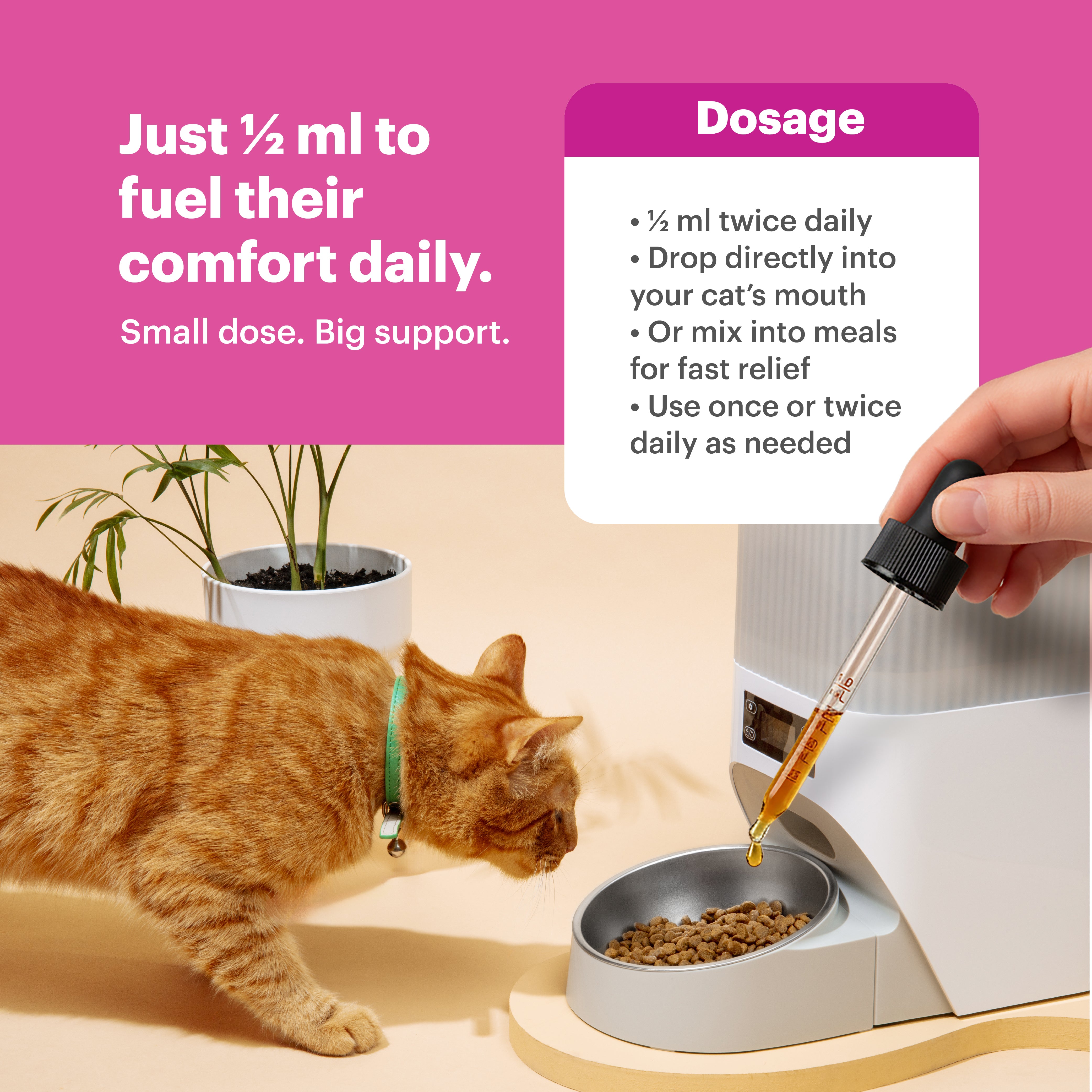 Petnary Bounce Back | Senior Hip & Joint Elixir for Cats