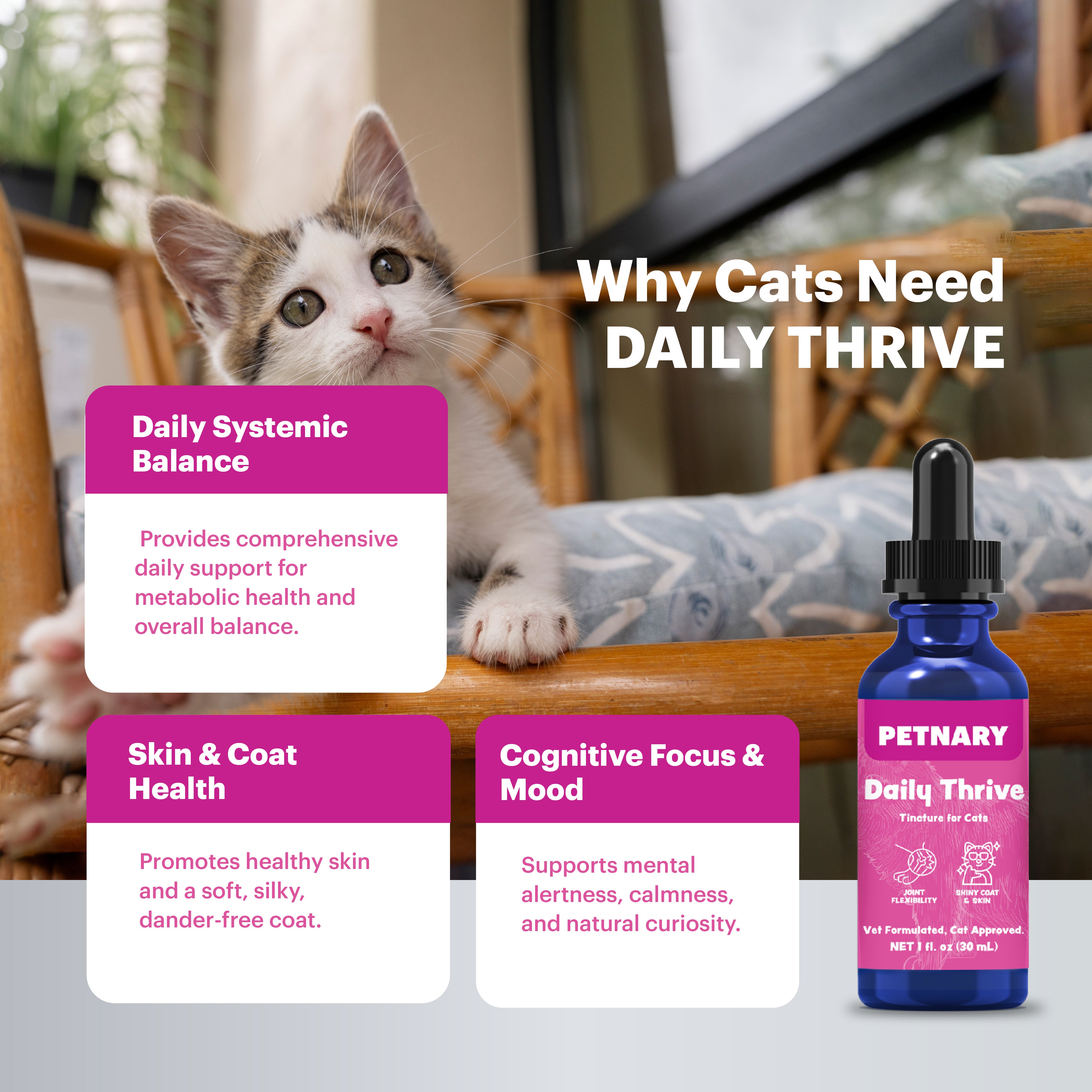 Petnary Daily Thrive | 4-in-1 Multivitamin & Omega Boost for Cats