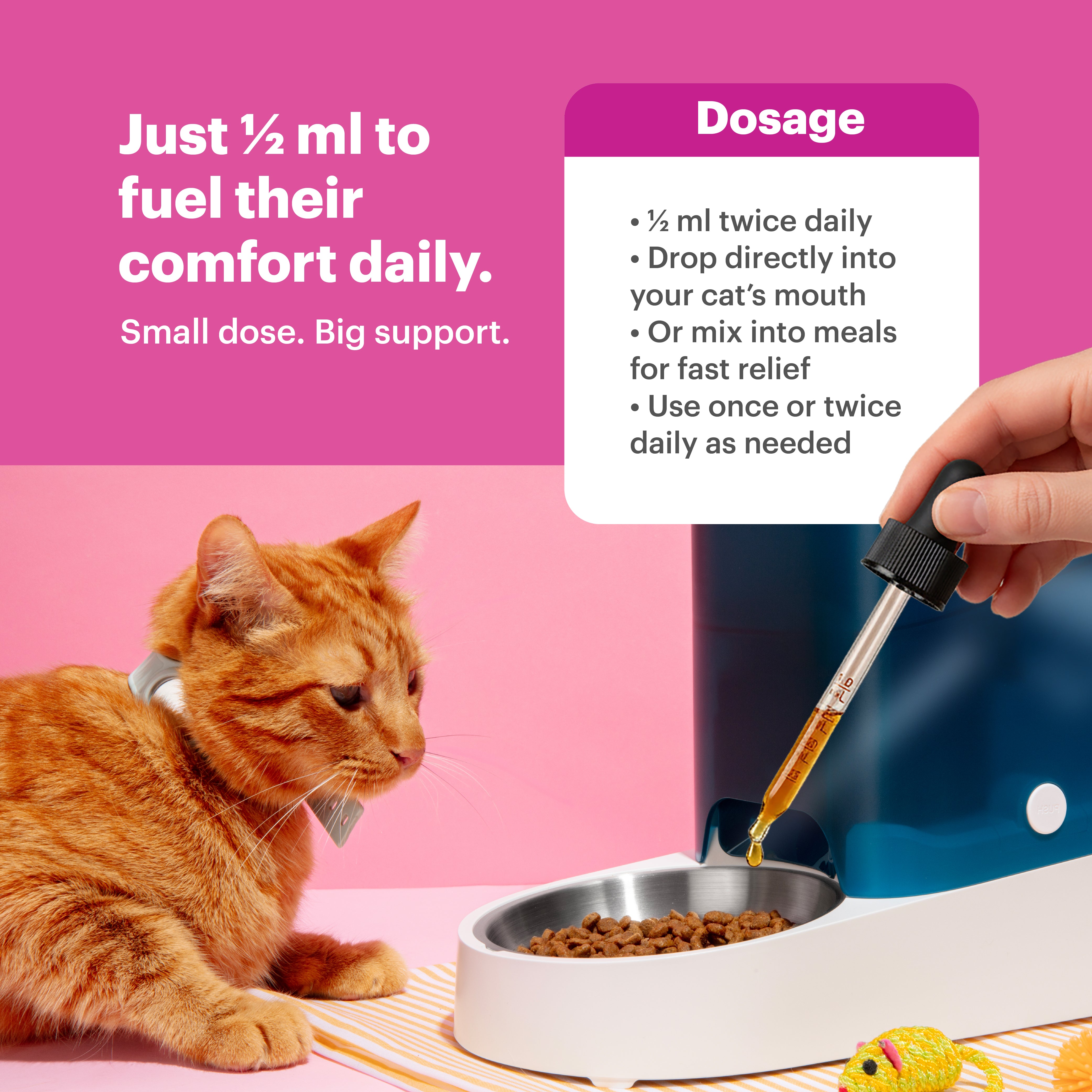 Petnary Daily Thrive | 4-in-1 Multivitamin & Omega Boost for Cats