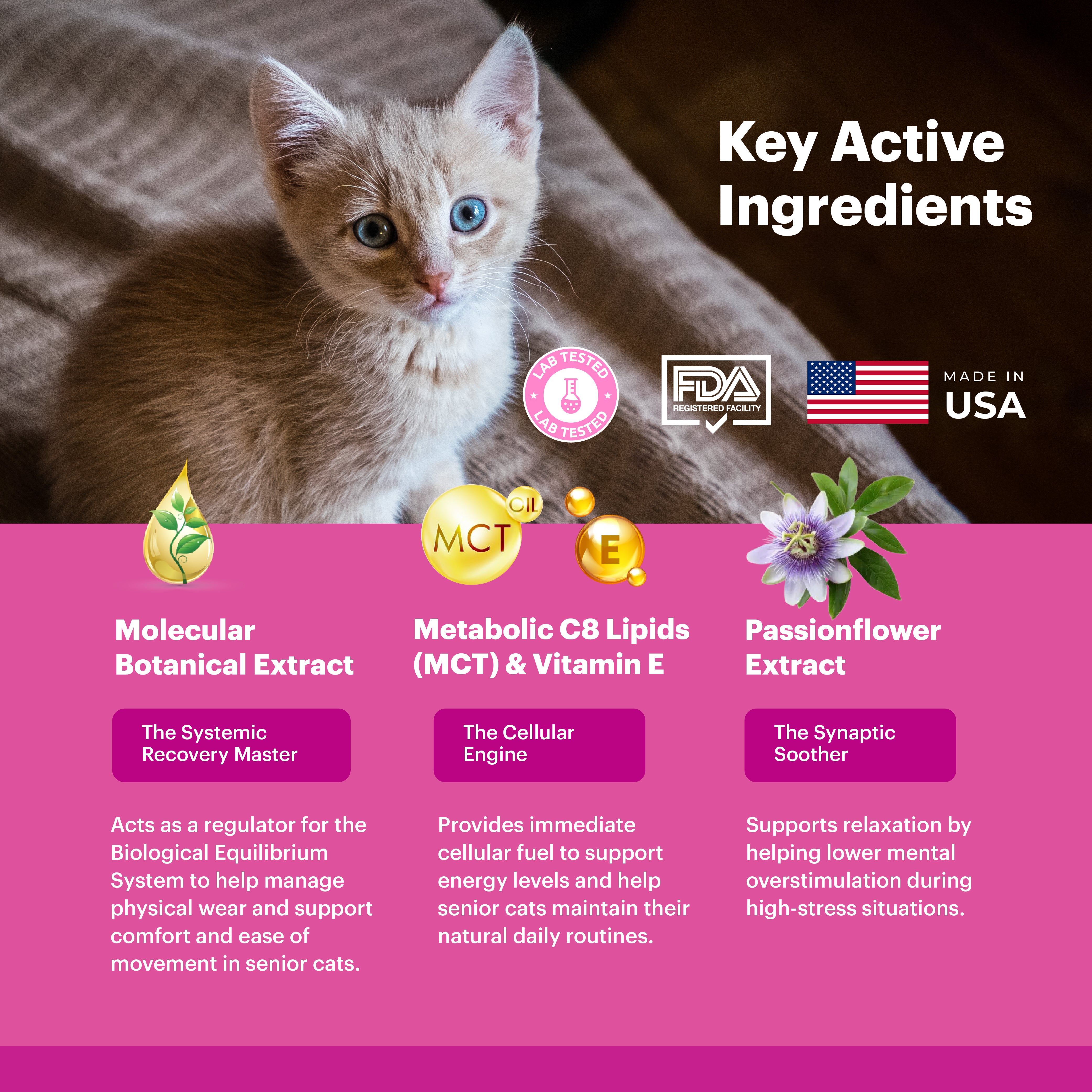 Petnary Zen Drops | Fast-Acting Calming Support for Cats