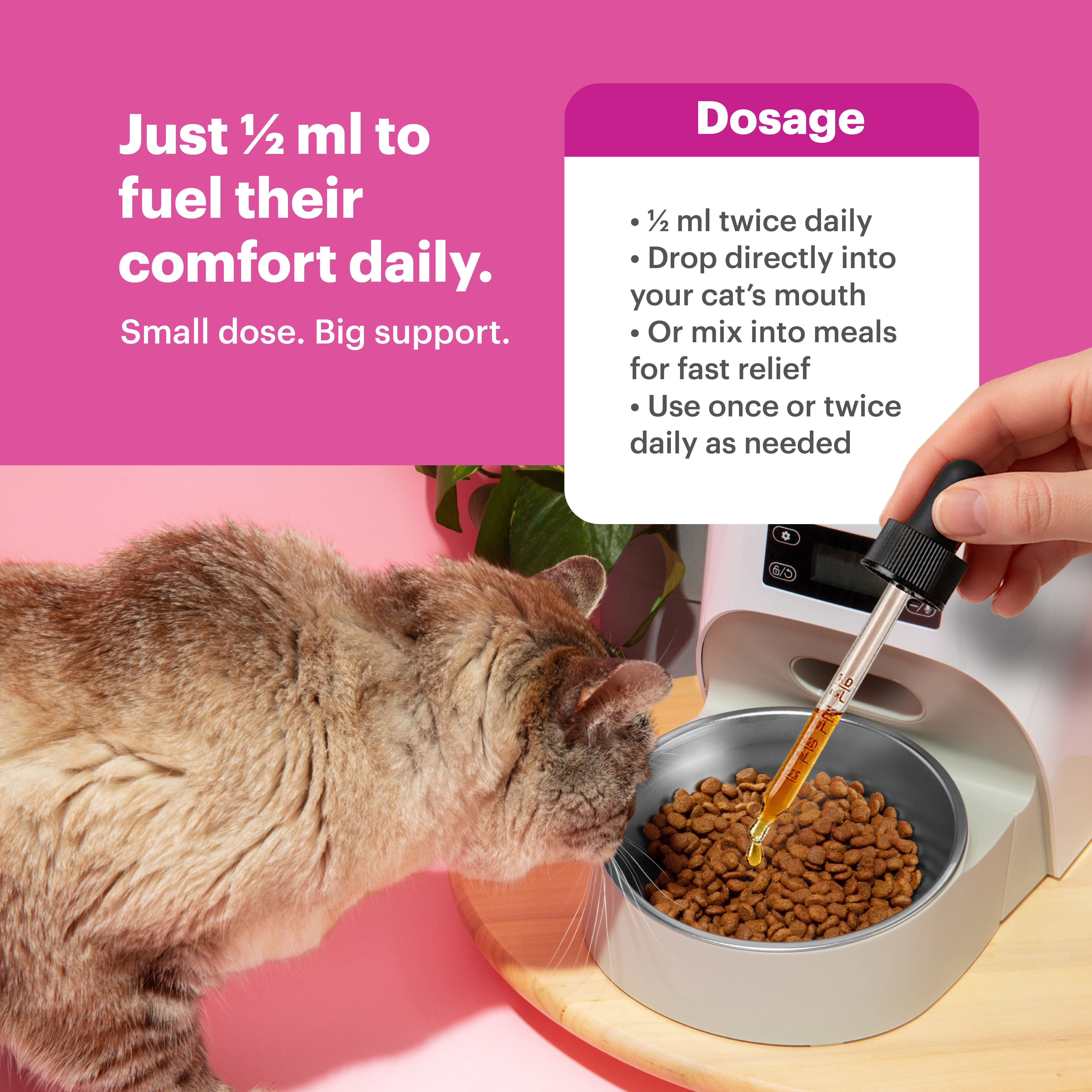 Petnary Zen Drops | Fast-Acting Calming Support for Cats