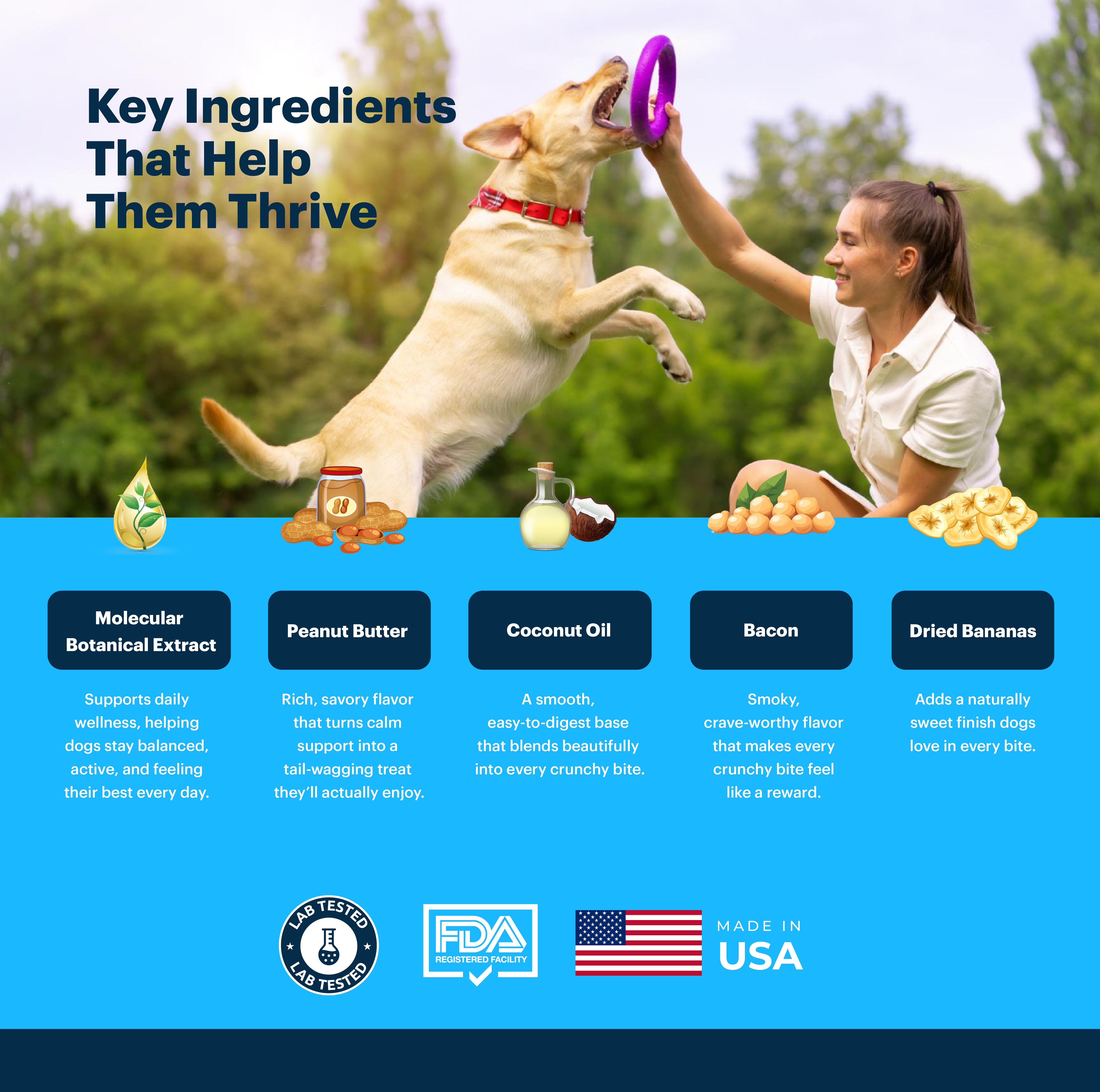 Petnary Daily Thrive Heart Treats | Bacon, Peanut Butter & Banana Flavor (Wholesale)