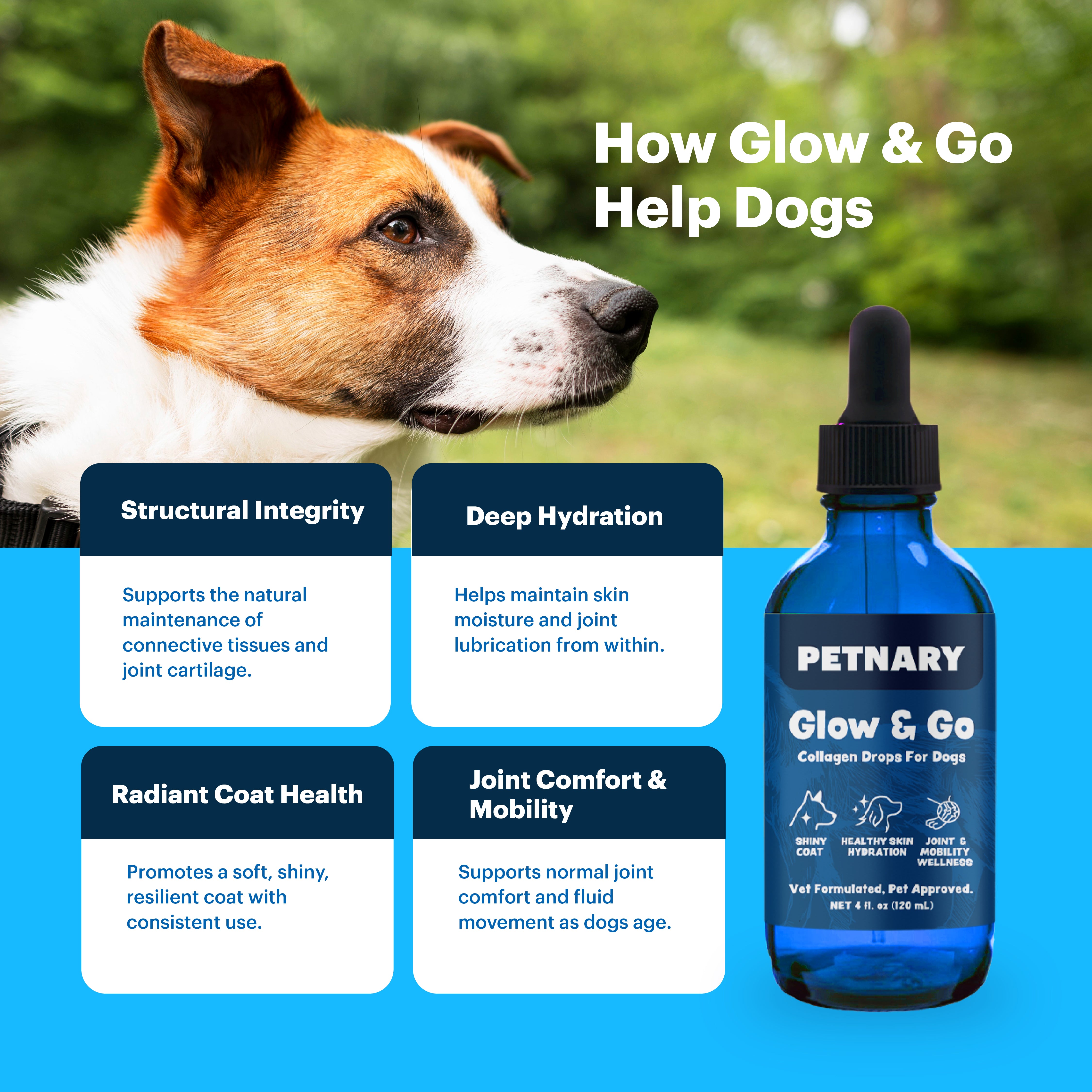Petnary Glow & Go | Collagen & Joint Mobility Drops for Dogs