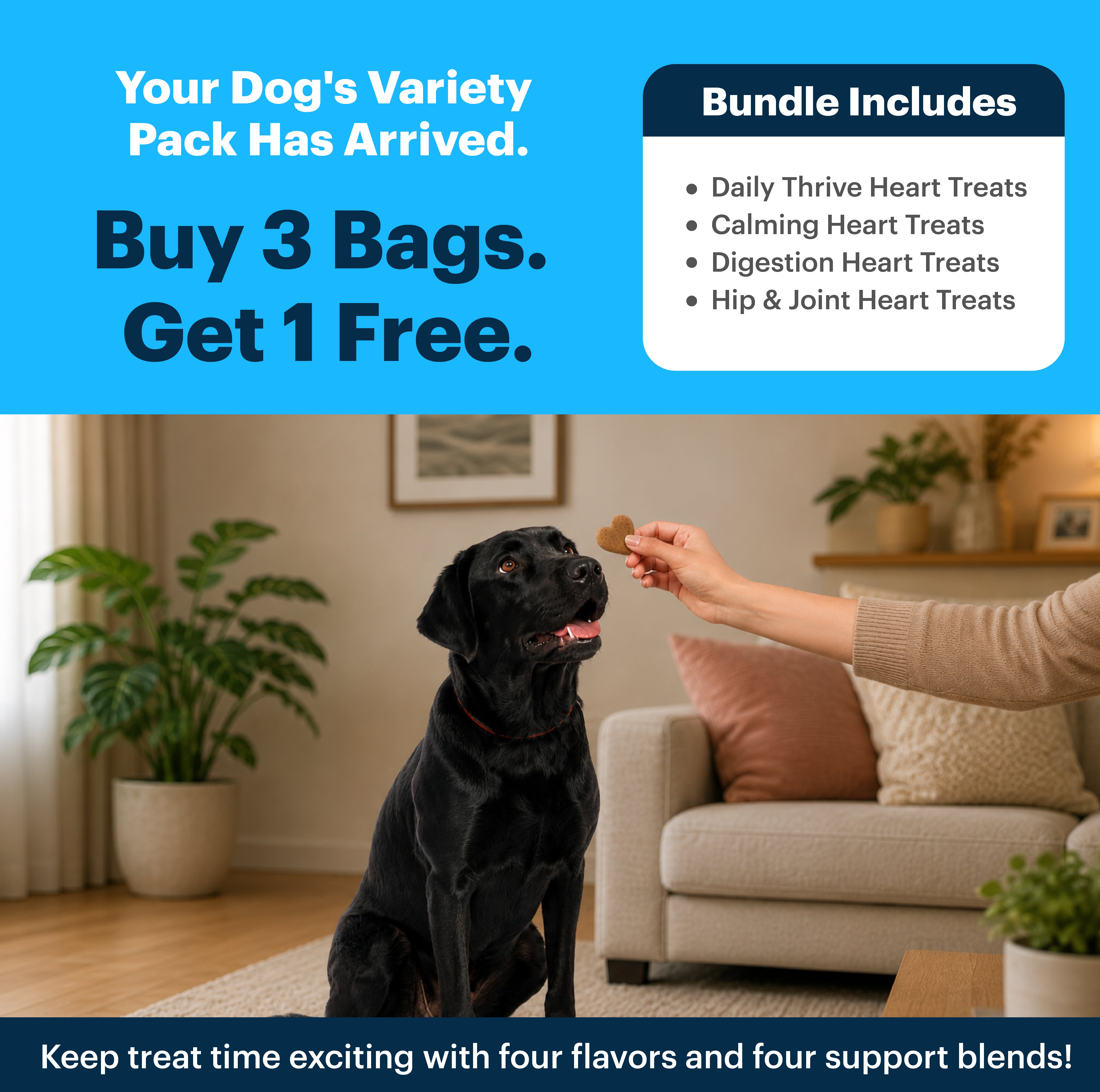 Daily Thrive, Calm, Digestion & Hip + Joint | Bundle for Dogs (Buy 3, Get 1 Free)