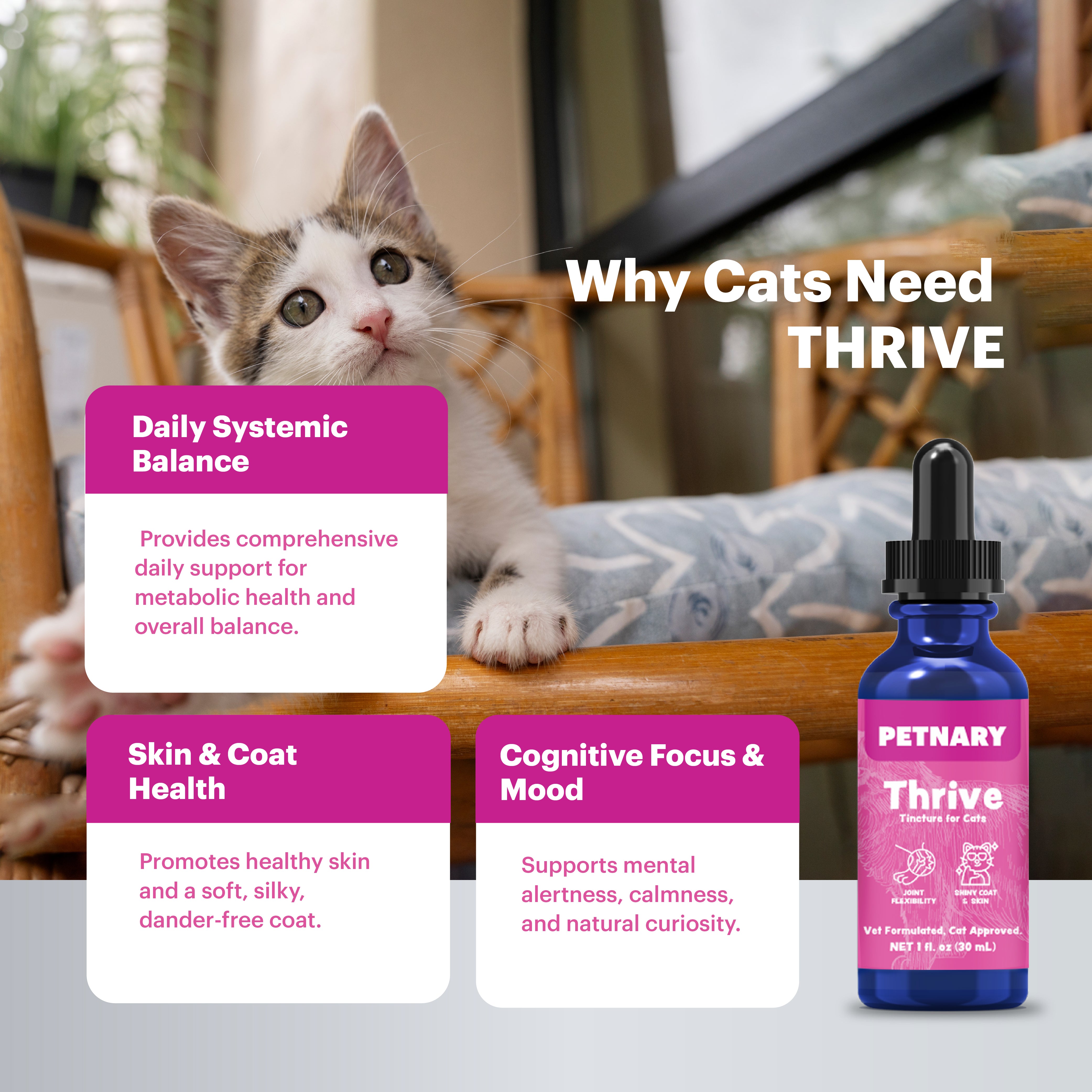 Petnary Thrive | 4-in-1 Daily Vitality Drops – Wild Alaskan Salmon Oil & Metabolic C8 Complex