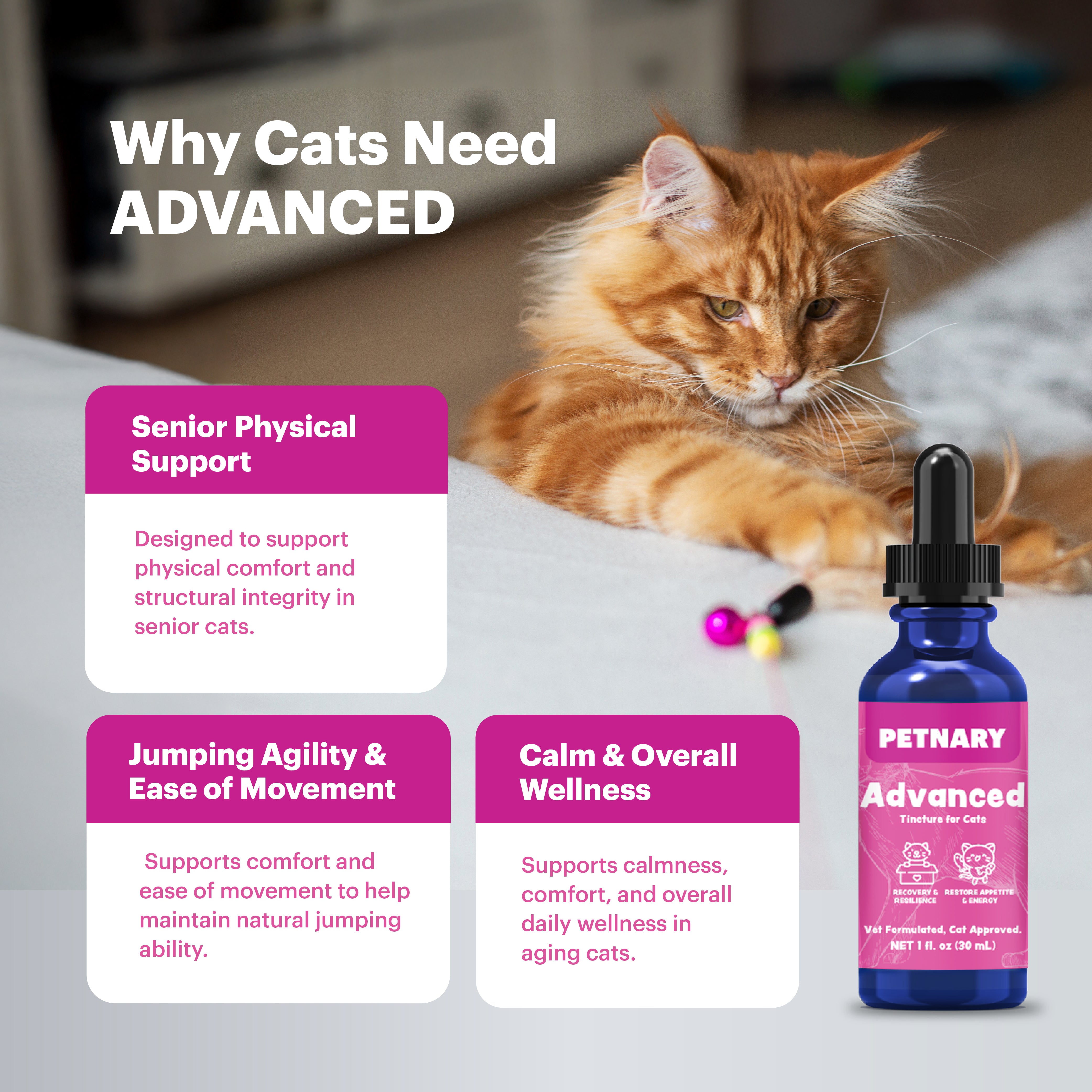 Petnary Advanced | Cat Hip & Joint Support Drops – Senior Mobility & Physical Comfort